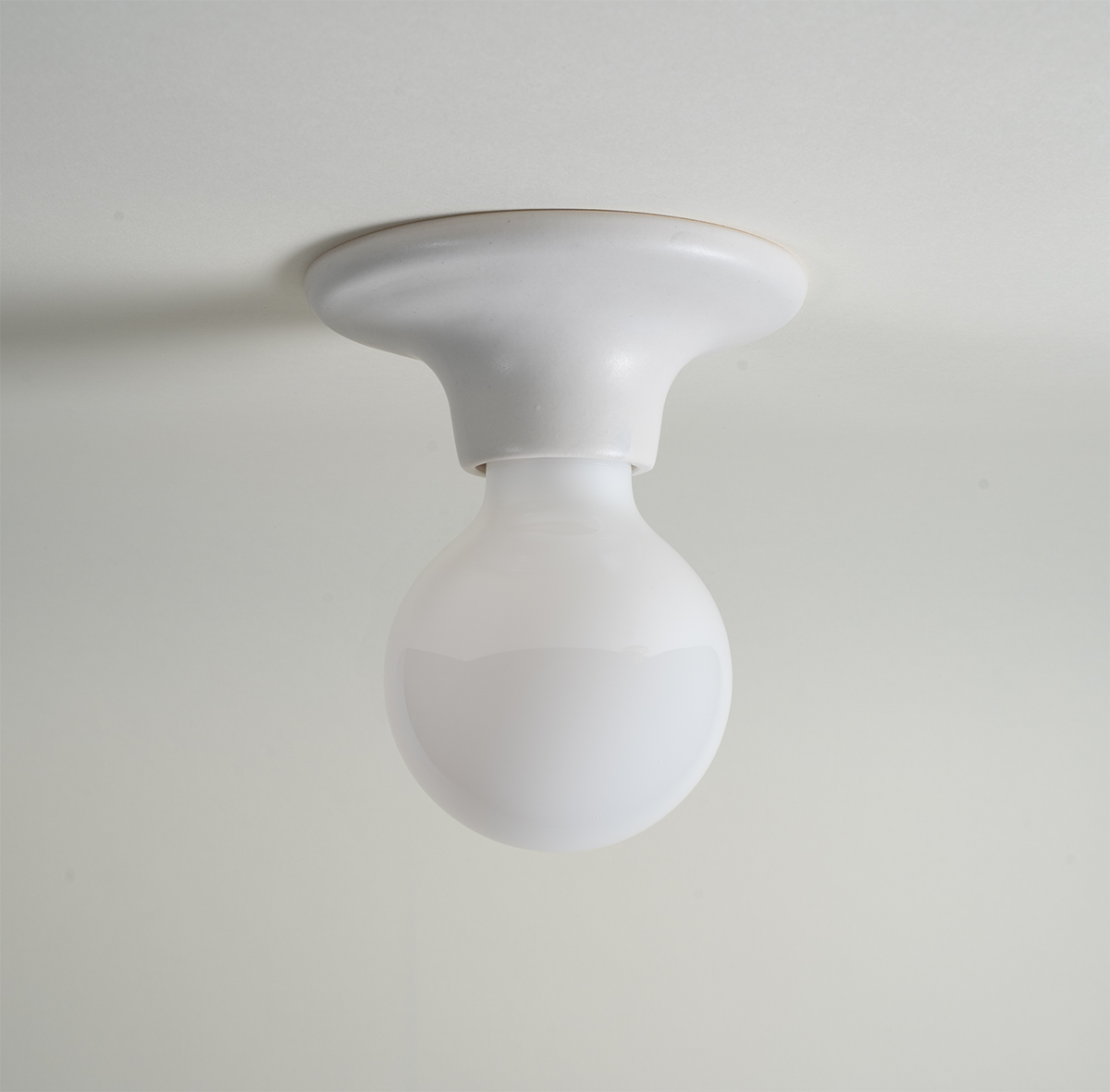 Frankie Matte White